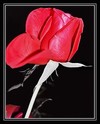 Picture for song 'guy like you' by artist 'DTB and The First Lady'