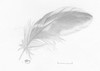 Picture for song 'Not Afraid' by artist 'Duble'