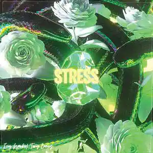 Picture for song '"Stress" Icy Narko & Tory Lanez & Lil Toe Type' by artist 'D V 1 R V E R S BEATS'