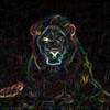 Picture for song 'The Lion (Revisited) (with Vibe Tribe)' by artist 'Earthscry'