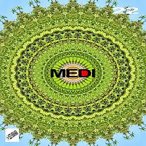 Picture for song 'Medi 22' by artist 'Eizi Hirahara'