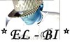 Picture for song 'Goodbye My Love ( Instrumental )' by artist 'EL - BI'
