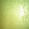cover pic