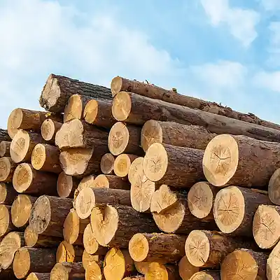 Picture for song 'ETHEREAL TYPE BEAT' by artist 'ett3rnal spring beats'