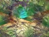 Picture for song 'Forest ( Part VI )' by artist 'EvilDuck'