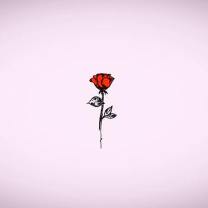 Picture for song 'Lovely Romantic $NOT TYPE BEAT - "ROSES"' by artist 'ExciterBeatz'