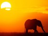 Picture for song 'Sunset Beat' by artist 'FakeHunters'