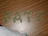 Picture for song 'Pot Head' by artist 'Fat C'