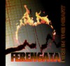 Picture for song 'Fire in The Heart' by artist 'Ferengata'