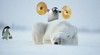Picture for song 'I sit on the Northpole (rock version)' by artist 'Finn Bjerke'