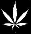 Picture for song '4:20' by artist 'FIRING SQUAD INDUSTRIES'