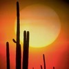 Picture for song 'Wake Up(Acoustic)' by artist 'Five O'Clock Shadow(US)'