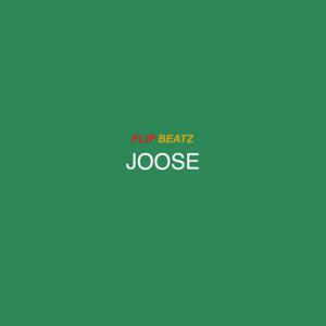 Picture for song 'Joose' by artist 'Flip Beatz 101'