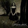 Picture for song 'Dysphoria' by artist 'Frozen Mist'