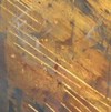Picture for song 'Quartet 4 Joyce' by artist 'Glenn Hardy'