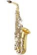 Picture for song 'Carnival of Venice- Alto Sax' by artist 'Goose Creek Bands'
