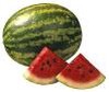 Picture for song 'Watermelon Man' by artist 'Goose Creek Bands'