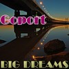 Picture for song 'Big Dreams' by artist 'Goport'