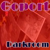 Picture for song 'DarkrRoom' by artist 'Goport'