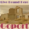 Picture for song 'Live Round Here' by artist 'Goport'