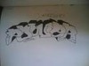 Picture for song 'power chopped and screwed' by artist 'gorillas in the mist'