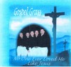 Picture for song 'Evolution? THE MONKEY SONG' by artist 'Gospel Grass'