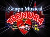 Picture for song 'Comercial' by artist 'Grupo Musical Ternura'
