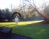 Picture for song 'Grantesque' by artist 'GWM'