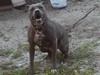 Picture for song 'So Crunk' by artist 'HC Stax'