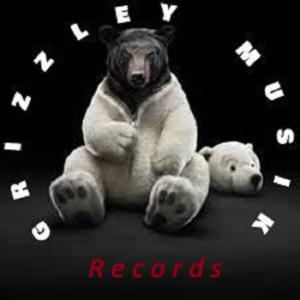Picture for song 'In the distance' by artist 'GrizzleyMusikRecords'