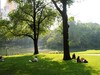Picture for song 'Summertime' by artist 'ID (Russia)'