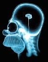 Picture for song 'Prosthetic brain' by artist 'Immaculate Synthesis'