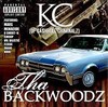 Picture for song 'KC - Tha Backwoodz (Sampler)' by artist 'Infinite Illusion Entertainment'