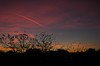 Picture for song 'Seemingly Perfect' by artist 'Infrasound'