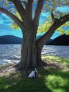 Picture for song 'Second' by artist 'Island D'