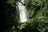 Picture for song 'Wailua Falls' by artist 'Jeremy Ball'