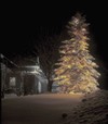 Picture for song 'Bethlehem' by artist 'Jess Bairley'