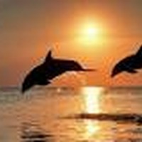 Picture for song 'Next to You' by artist 'Jherell Beats'