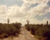 Picture for song 'HELLBENT' by artist 'Jim Colyer'