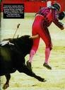 Picture for song 'Bullfight' by artist 'Joe The Butcher'