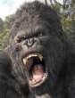 Picture for song 'Ima Beast!!!!' by artist 'JohnBell (aka) Exklusiv Presents Dirty Norh Entertainment'