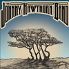 Picture for song 'Hey Baby' by artist 'Johnny Hawthorn Band'