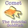 Picture for song 'Comet The Suicidal Goldfish' by artist 'Jon Flushing and the Bowl Blasters'
