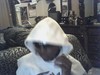 Picture for song 'SHAKE THAT' by artist 'Jump Out Boyz'