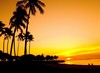 Picture for song 'Playa'z Paradise' by artist 'Kevin Asir'
