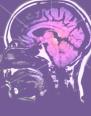 Picture for song 'My Brain' by artist 'Killa Toi'