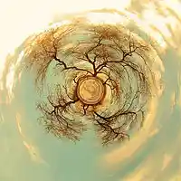 Picture for song 'Stuck In The Past (Voc Version' by artist 'Kimberly Graciano'
