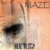 Picture for song 'Maze - When im Chillin' by artist 'King Maze'