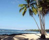 Picture for song 'Paradise' by artist 'KlassicK Productions'