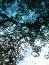 Picture for song 'Far Away (On Broken Wings)' by artist 'Kola'